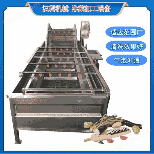 蕨菜加工翻浪式清洗機