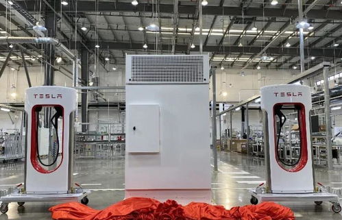 2021年新能源汽車市場展望 1月銷量翻倍增長與電熔鎂生產的潛在影響